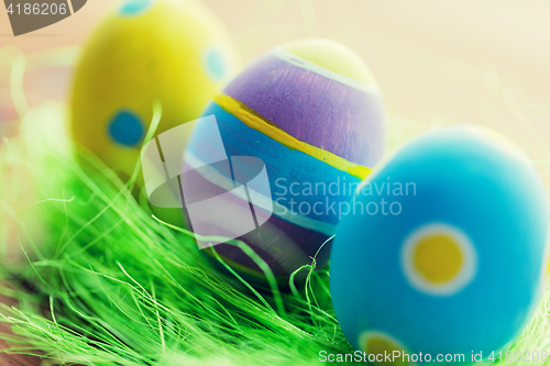 Image of close up of colored easter eggs and grass