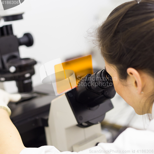 Image of Life science researcher microscoping in genetic scientific laboratory.