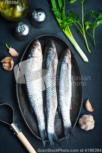 Image of raw fish