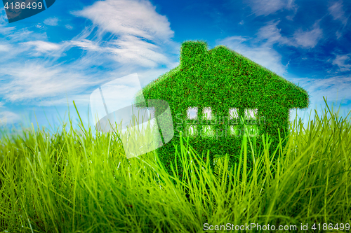 Image of House on the green grass