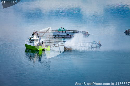 Image of Farm salmon fishing