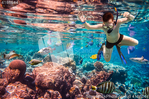 Image of Snorkeler Maldives Indian Ocean coral reef.