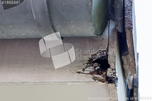 Image of Rotten wood on top of house