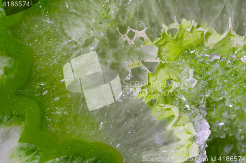 Image of Close-up of a colorful stone