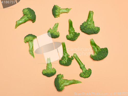 Image of The fresh broccoli on pink background