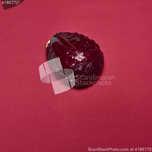 Image of Red cabbage on a red background