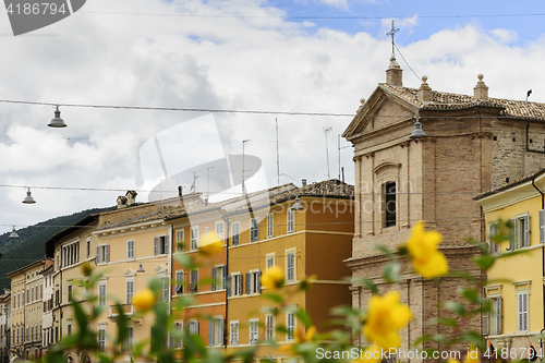 Image of Flower with houses in background