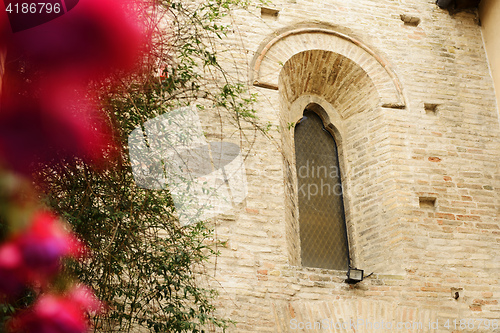 Image of Flower with church in background