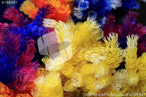 Image of plastic color corals