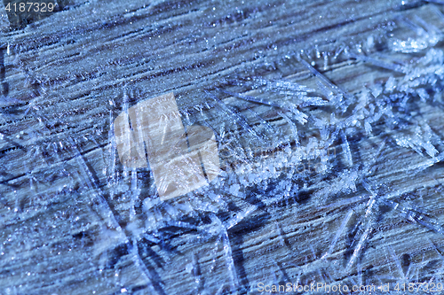 Image of Morning frost - macro picture