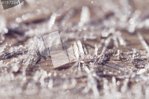 Image of Morning frost - macro picture