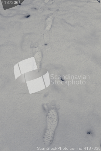 Image of Footprints in the snow