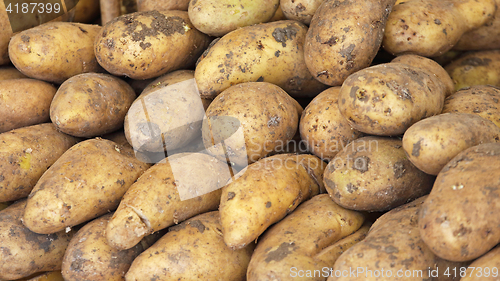 Image of Potato