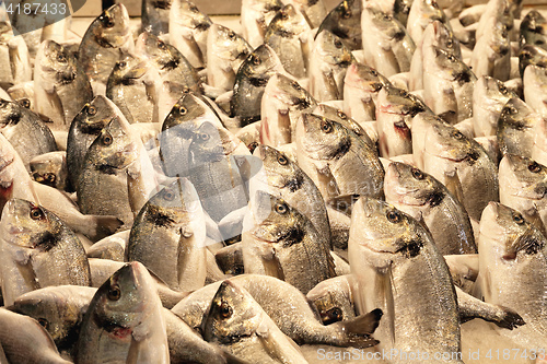 Image of Sea Bream