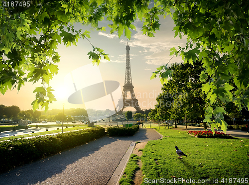 Image of Jardins du Trocadero