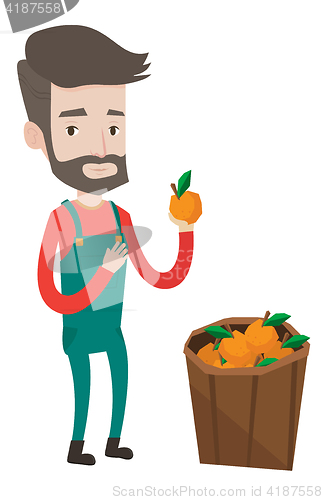 Image of Farmer collecting oranges vector illustration.