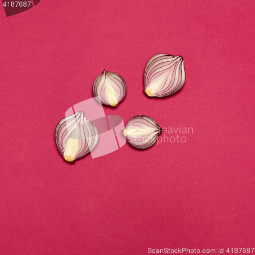 Image of Red onion on a red background