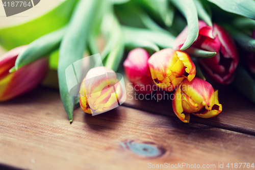 Image of close up of tulip flowers on wooden table