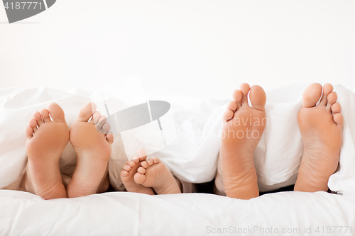 Image of bare soles of happy family feet in bed at home