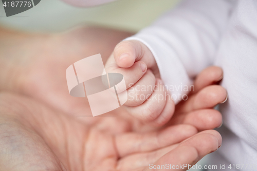 Image of close up of mother and newborn baby hands