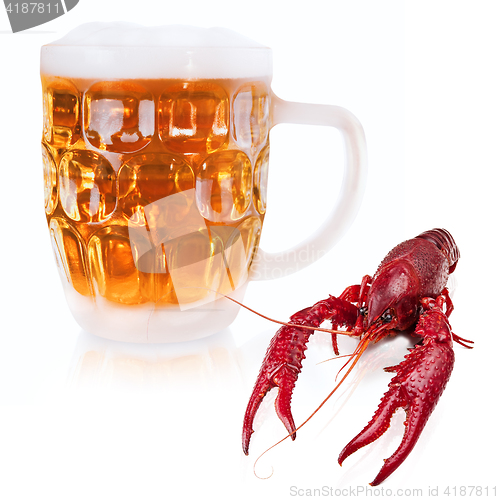 Image of crawfish and beer