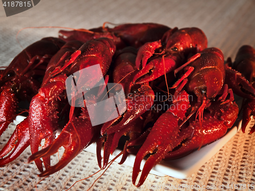 Image of crawfishes