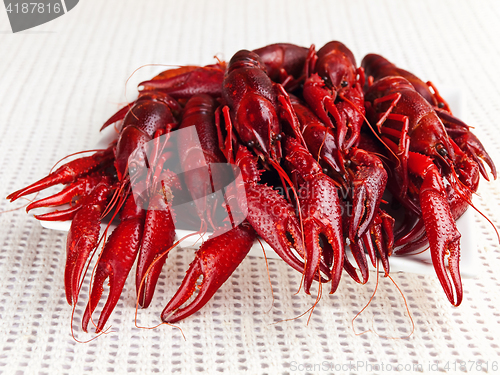 Image of crawfishes