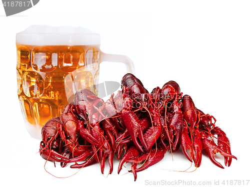 Image of crawfishes