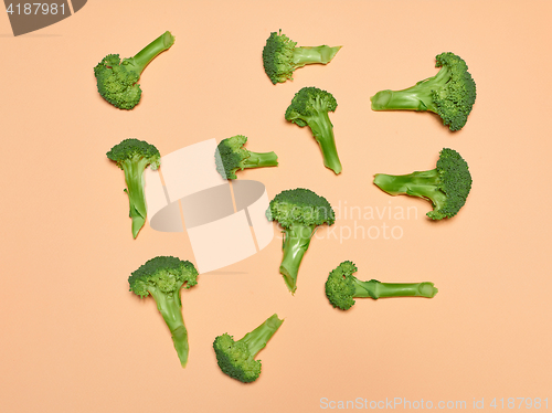 Image of The fresh broccoli on pink background