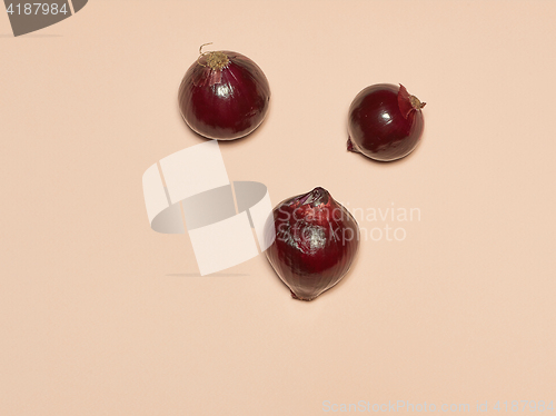 Image of Red onion on a pink background