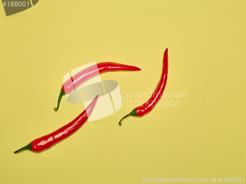 Image of bitter chili pepper and paprika on a yellow background