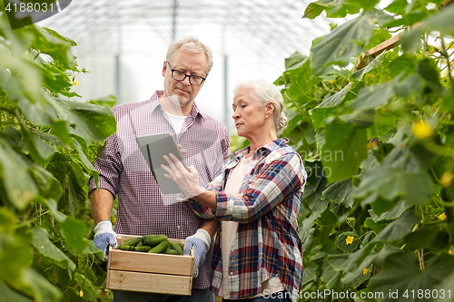 Image of senior couple with cucumbers and tablet pc on farm