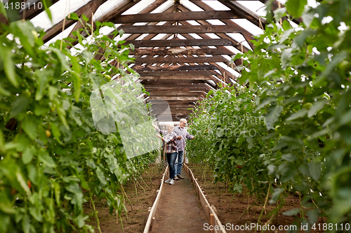 Image of happy senior couple working at farm greenhouse