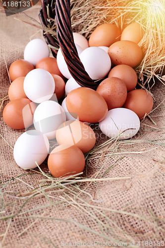 Image of fresh eggs