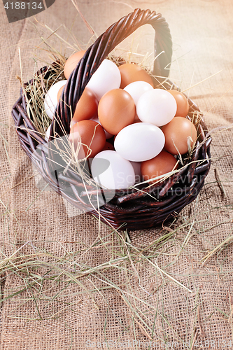 Image of fresh eggs