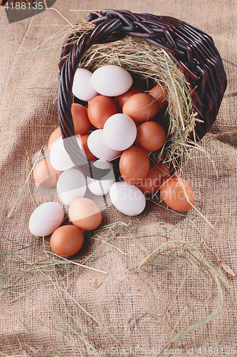 Image of fresh eggs