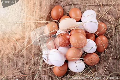 Image of fresh eggs