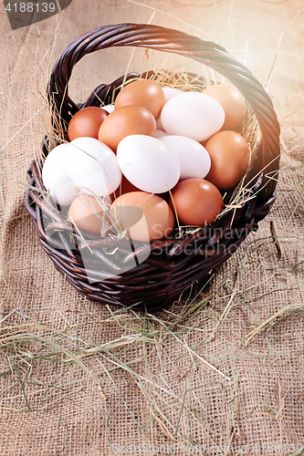 Image of fresh eggs