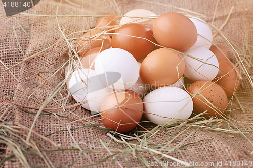 Image of fresh eggs