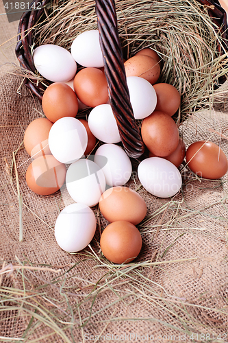 Image of fresh eggs