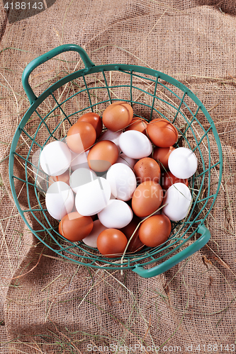 Image of fresh eggs