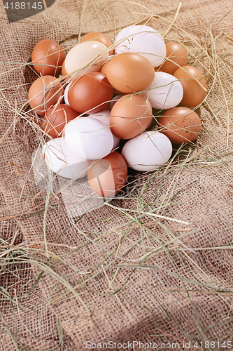 Image of fresh eggs