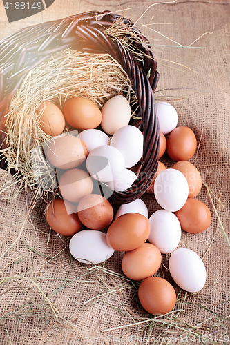 Image of fresh eggs