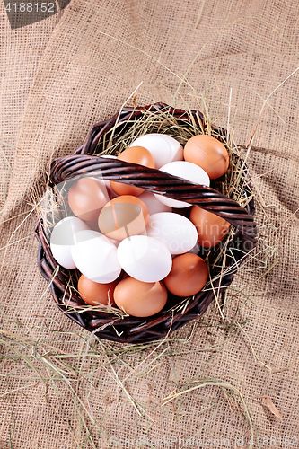 Image of fresh eggs