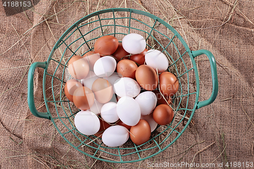 Image of fresh eggs