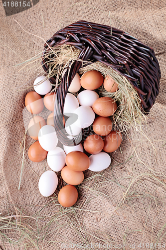 Image of fresh eggs