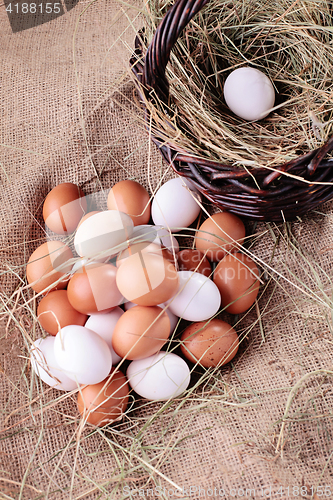 Image of fresh eggs