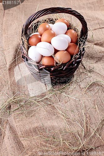 Image of fresh eggs