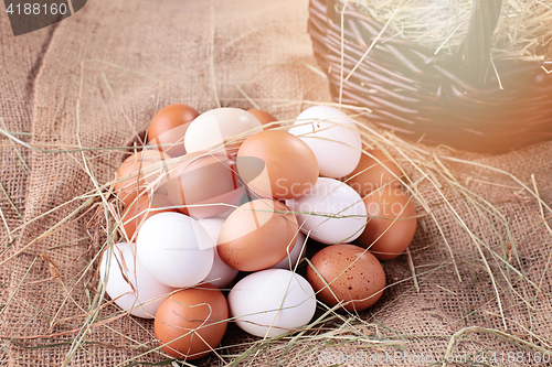 Image of fresh eggs