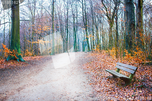 Image of Hirschpark, Hamburg, Germany